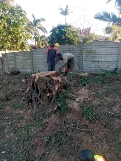 IZITHELO TREE FELLING &amp; CONSTRUCTION