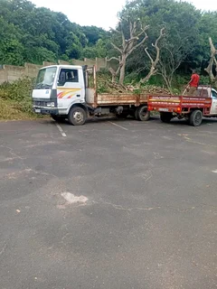 IZITHELO TREE FELLING &amp; CONSTRUCTION