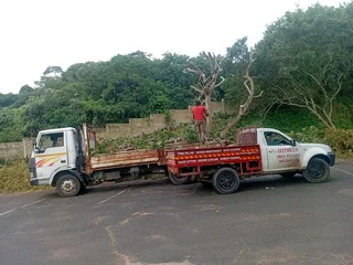 IZITHELO TREE FELLING &amp; CONSTRUCTION (0603065476)