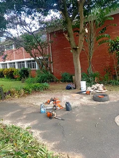 IZITHELO TREE FELLING &amp; CONSTRUCTION (0603065476)