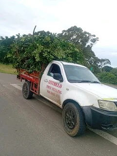 IZITHELO TREE FELLING &amp; CONSTRUCTION (0603065476)