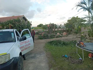 IZITHELO TREE FELLING &amp; CONSTRUCTION (0603065476)
