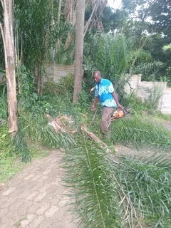 IZITHELO TREE FELLING &amp; CONSTRUCTION (0603065476)