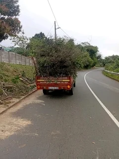 IZITHELO TREE FELLING &amp; CONSTRUCTION (0603065476)