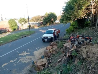 IZITHELO TREE FELLING &amp; CONSTRUCTION (0603065476)