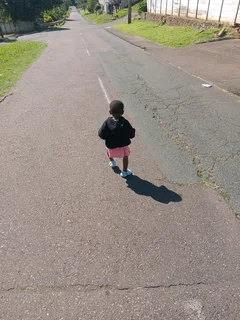 IZITHELO TREE FELLING &amp; CONSTRUCTION (0603065476)