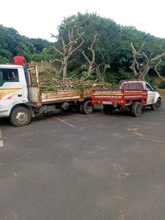 IZITHELO TREE FELLING &amp; CONSTRUCTION (0603065476)