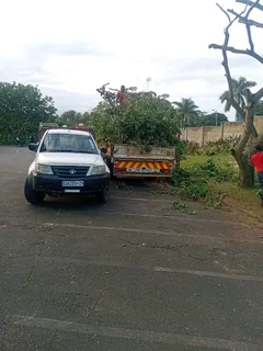 IZITHELO TREE FELLING &amp; CONSTRUCTION (0603065476)