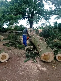 IZITHELO TREE FELLING &amp; CONSTRUCTION (0603065476)