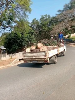 IZITHELO TREE FELLING &amp; CONSTRUCTION (0603065476)