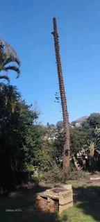 IZITHELO TREE FELLING &amp; CONSTRUCTION (0603065476)