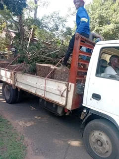 IZITHELO TREE FELLING &amp; CONSTRUCTION (0603065476)