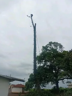 IZITHELO TREE FELLING &amp; CONSTRUCTION (0603065476)