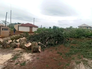 IZITHELO TREE FELLING &amp; CONSTRUCTION (0603065476)