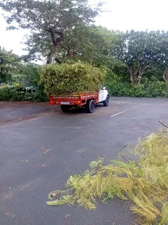 IZITHELO TREE FELLING &amp; CONSTRUCTION (0603065476)