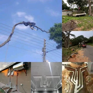 Izithelo Tree Felling & Construction (0603065476)