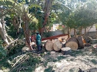 IZITHELO TREE FELLING &amp; CONSTRUCTION (0603065476)