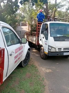 IZITHELO TREE FELLING &amp; CONSTRUCTION (0603065476)
