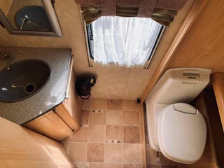 Gypsey Rhapsody 2008