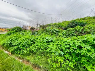 Ocebisa Properties Presents Vacant Land For Sale In Kwamashu