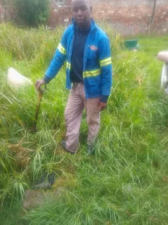Highly recommended and experienced Malawian gardening all rounder and housekeeper needs work