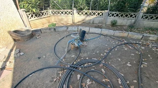 . &#34;Escape to Edenburg: Your Peaceful Oasis Awaits&#34;