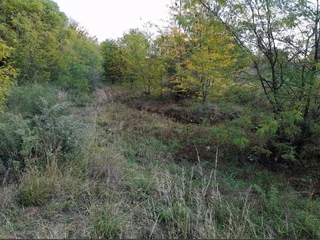 SMALL HOLDING .TWO FLATLETS.STRONG WATER. TWO BOREHOLES.SAVE AREA.CAN BUILD EASY 6 HOUSES.