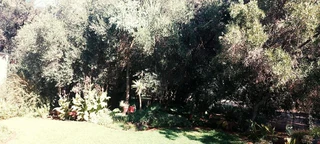 Plot Available With To Very Large Garages And Liceneced Marijuana Tunel