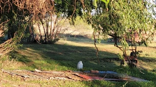 MULTIPURPOSE  EXCESSIVE LARGE HOUSE. STRONG WATER. IDEAL FOR SPECIAL PROJECTS.