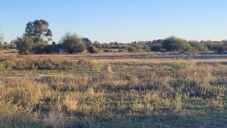 MULTIPURPOSE  EXCESSIVE LARGE HOUSE. STRONG WATER. IDEAL FOR SPECIAL PROJECTS.