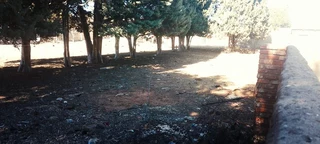 SMALL HOLDING CONSITS OF TWO HOUSES .GREAT INVESTMENT. EQUIPED WITH A TWO TOWER ERRIGATION PIVOT