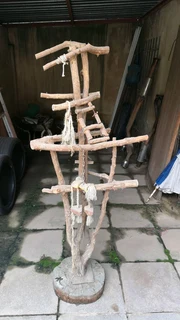 Big Parrot Bird Perch Stand