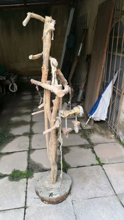 Big Parrot Bird Perch Stand