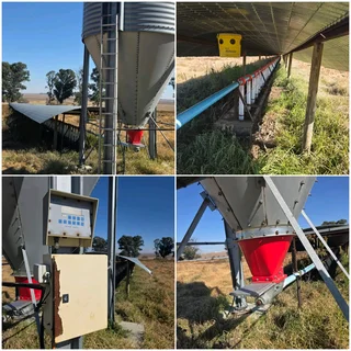 Kompleet Voer Sisteem