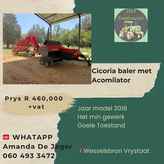 Cicoria baler met Acomilator