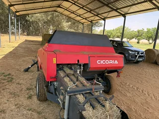 Cicoria baler met Acomilator