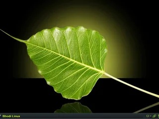 WINDOWS 10&amp;11 PRO 23H2 64 BIT &amp; LINUX. [FREE].