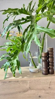 Luxury Nail Bar in Soweto Hiring Skilled Nail Technician