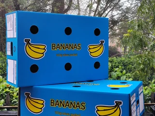 18kg Banana Boxes