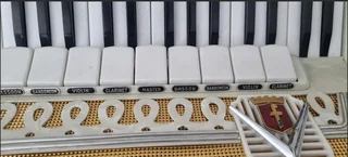 Accordian - Prontolini Milano