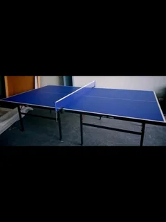 Table tennis table
