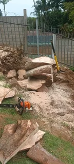 QUICK TREE FELLING