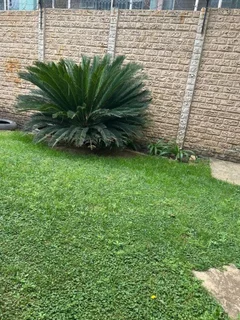 3 Bedroom Apartment / Flat to Rent in Savoy Estate