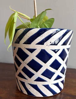 Neon pothos plant with ceramic planter