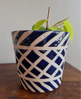 Neon pothos plant with ceramic planter
