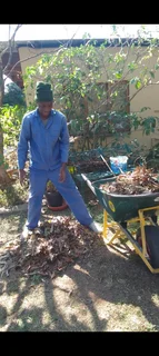 Malawian Gardening All Rounder With Driving Licence Looking For Either Stay In Or Stay Out Job