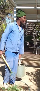 Highly recommended  Malawian gardening expert,housekeeper with drivers licence needs stay in or out