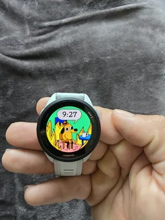 Garmin forerunner 165 Music Edition