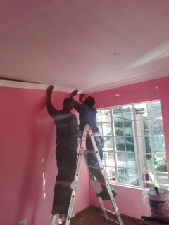 Fixing roof leaks and repainting