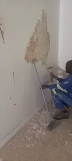 Fixing roof leaks and repainting